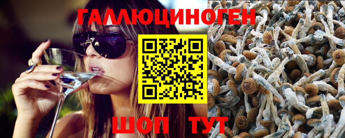 Аксай  Псилоцибиновые грибы прущие грибы  Псилоцибиновые грибы ЛСД  Вход с VPN 