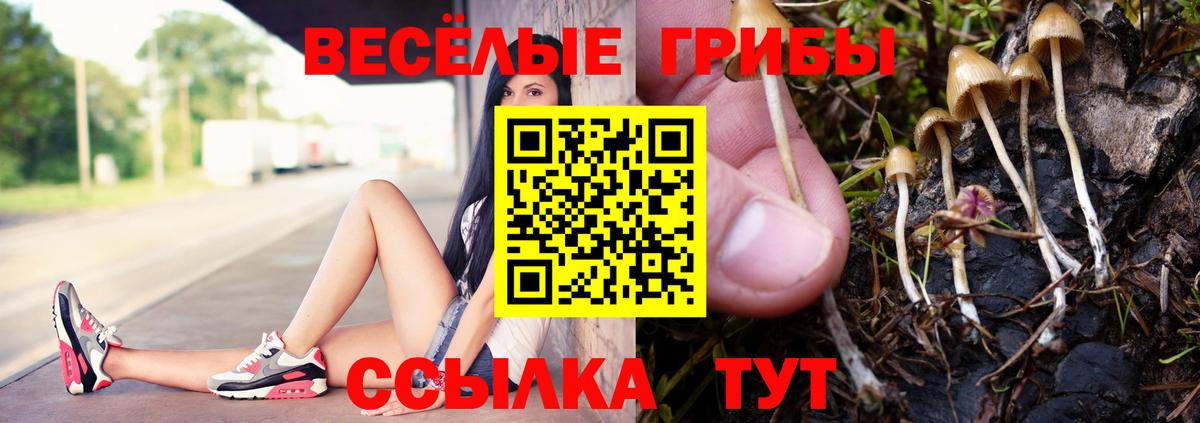 Псилоцибиновые грибы GOLDEN TEACHER Аксай